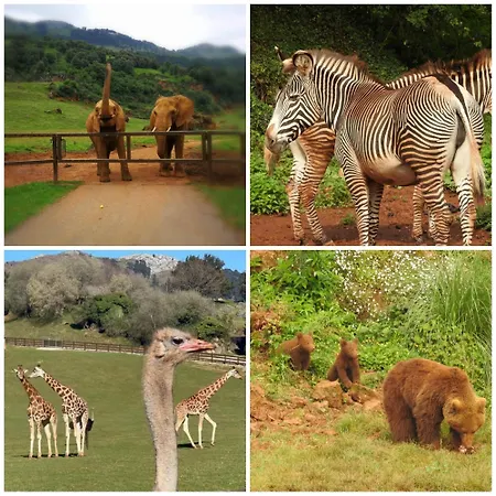 Mariposas , 3 Lejlighed