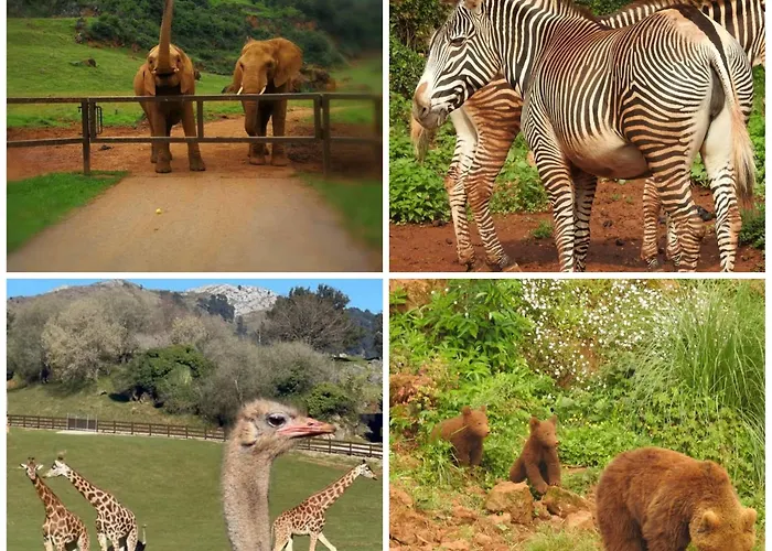 Mariposas , 3 Апартаменты